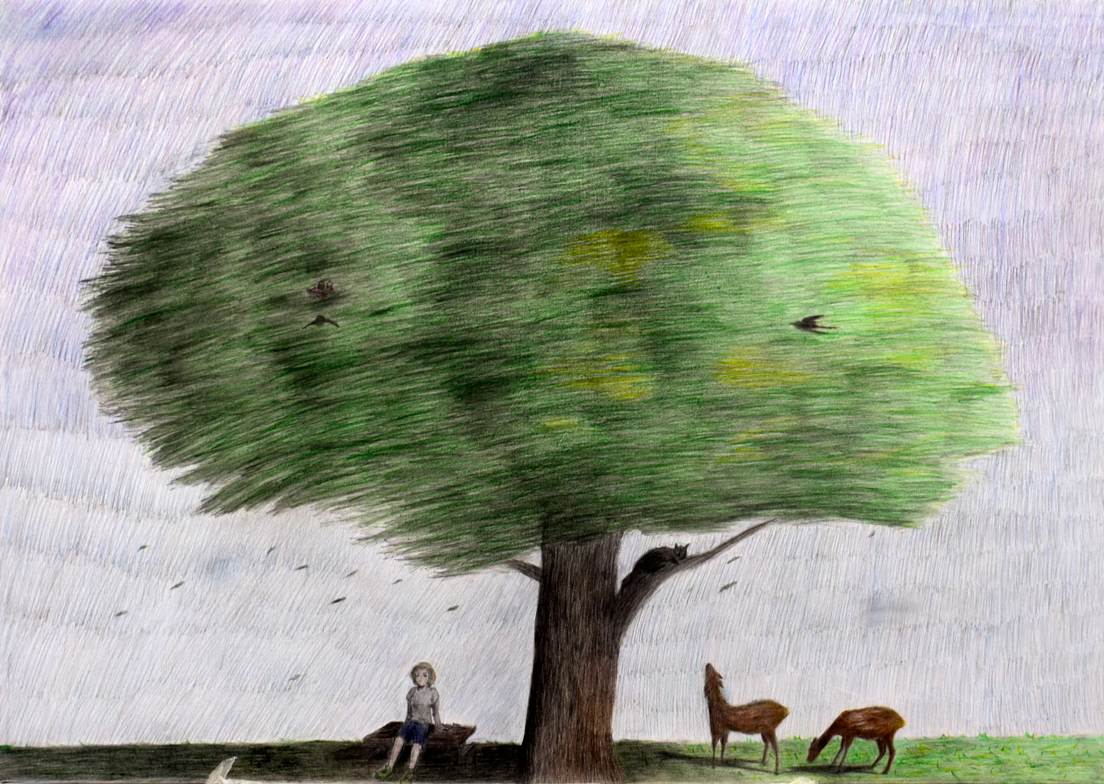 阿波・１年・堀北 悠斗