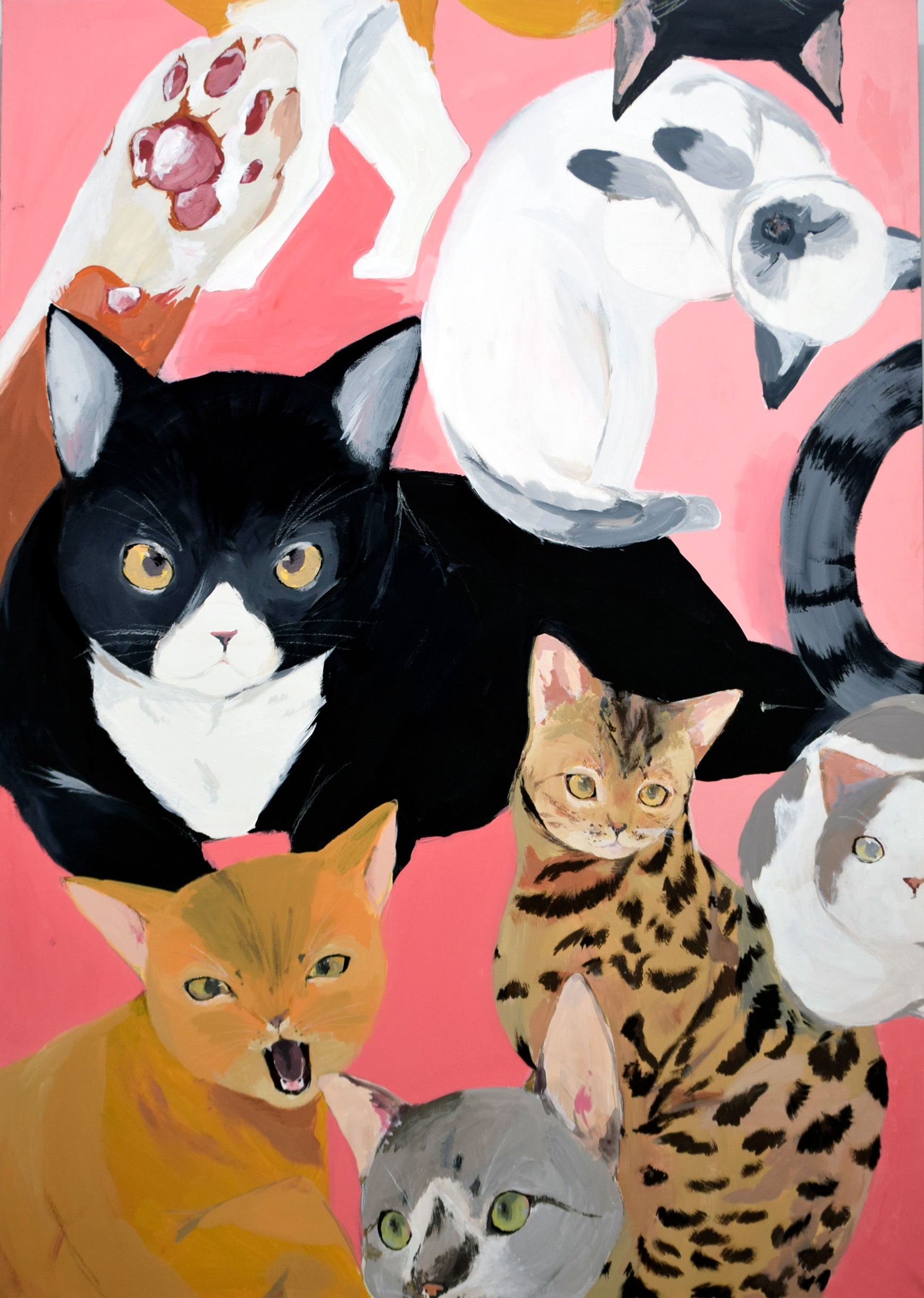 阿波・１年・近藤 みかさ