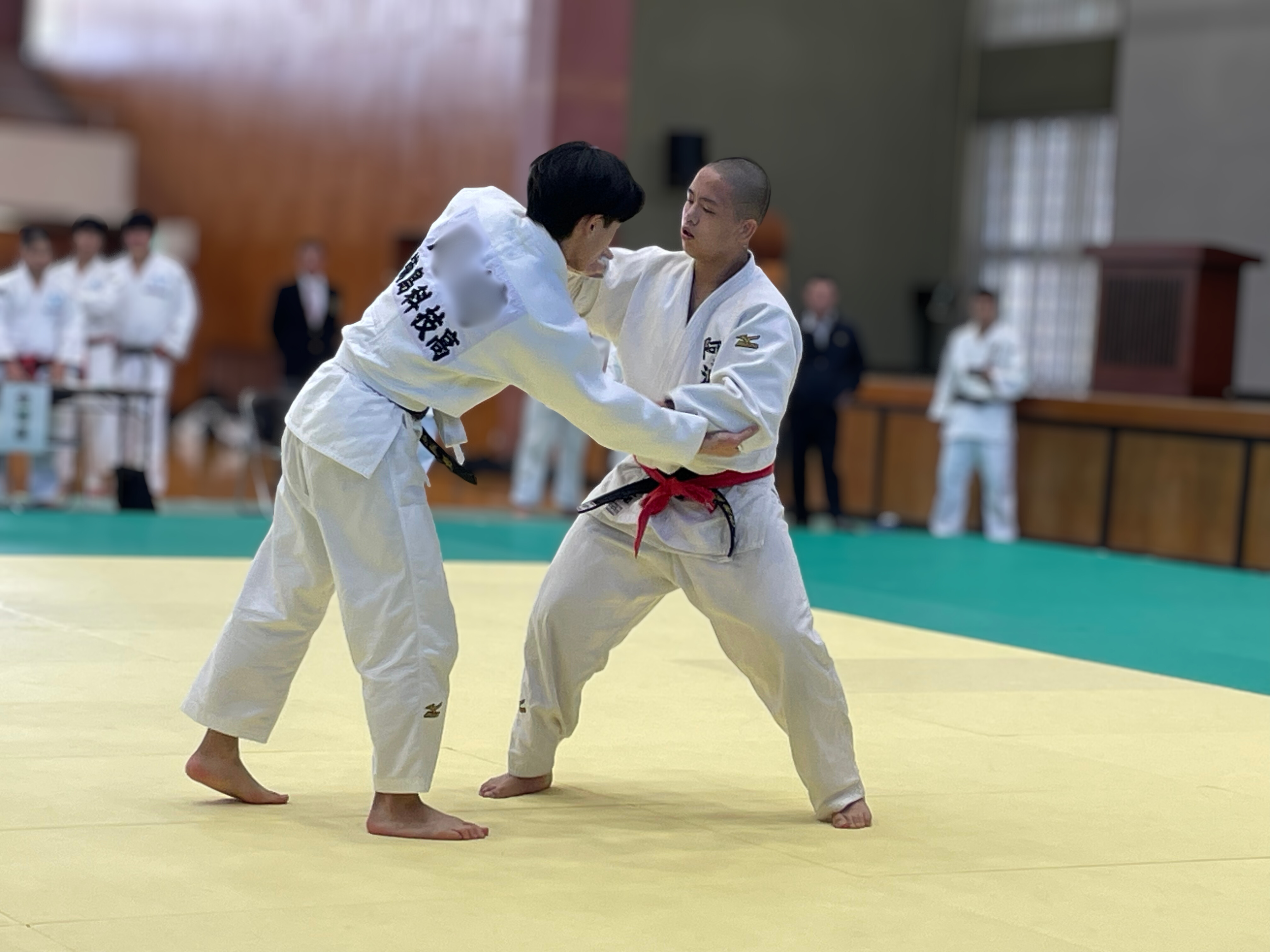 33a866f6-1505-4934-a9e4-ce91edf325de